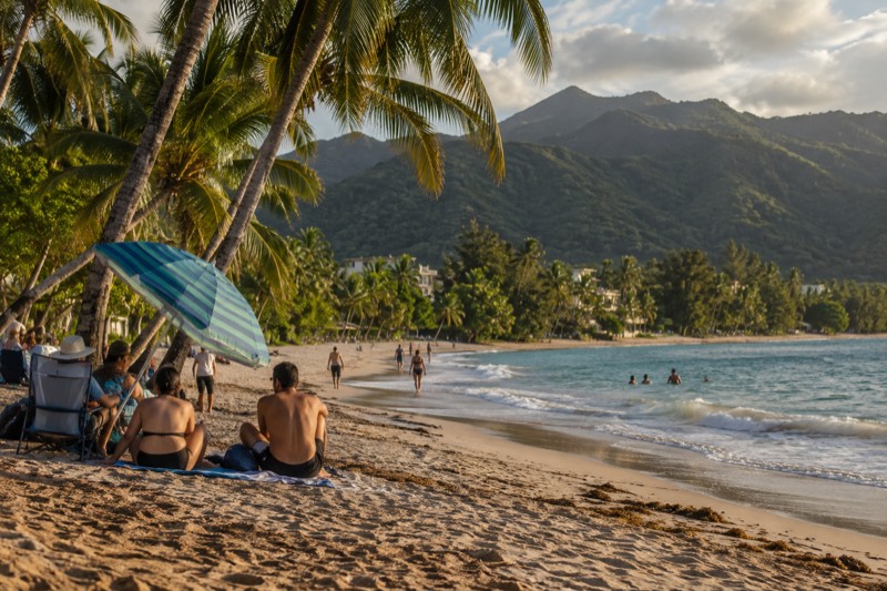 Forest And Beach, Pickup Included