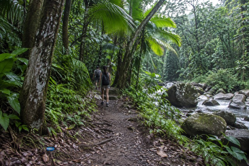 Nature Walk And Luquillo Beach