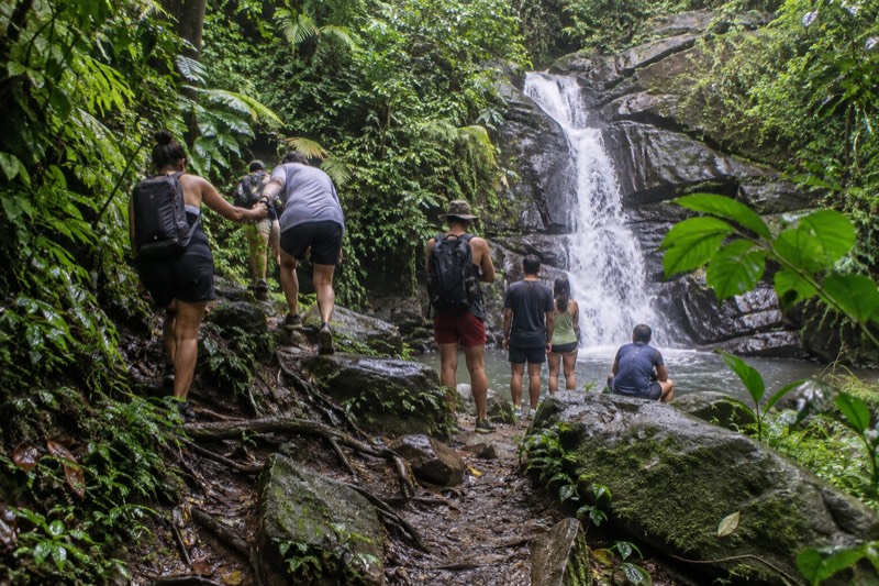 Guided Half-Day, Pickup Included