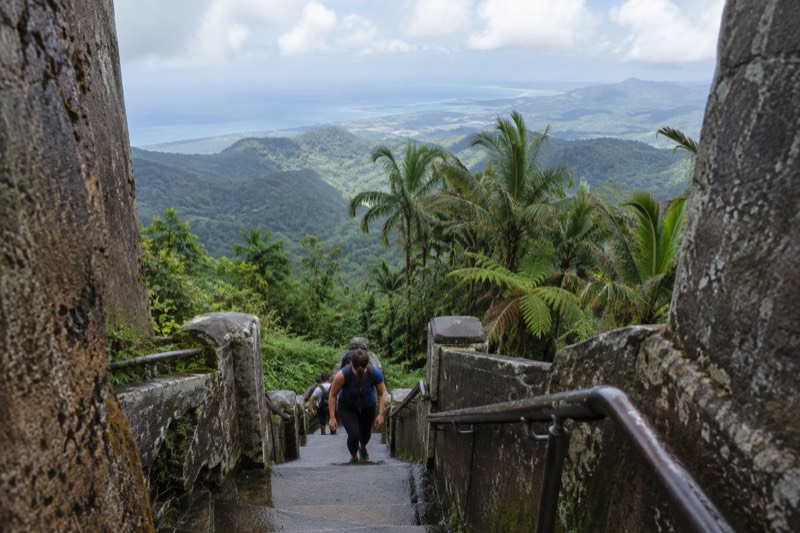 6-Hour Hike, Pickup Included
