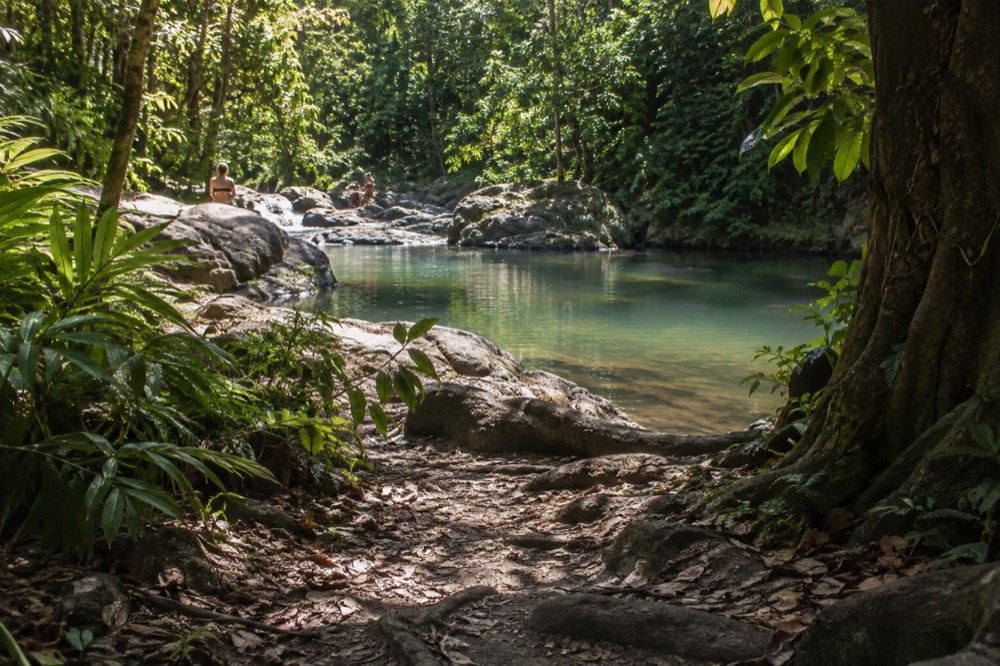 A calm river pool reflecting green forest along a short dirt trail