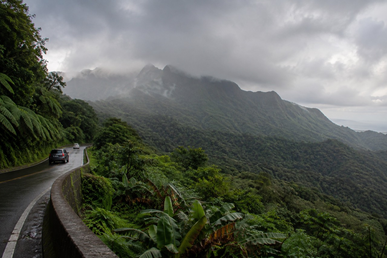 Dense green rainforest slopes rising toward low clouds above a winding mountain road
