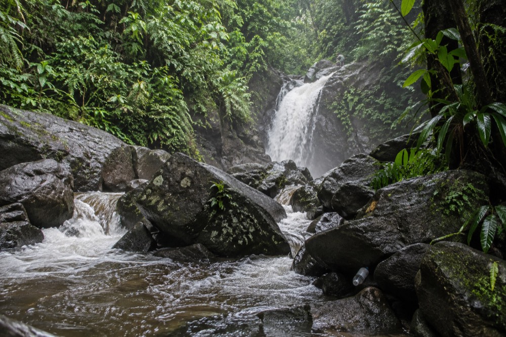 A rainforest river rushing over dark rocks between green banks