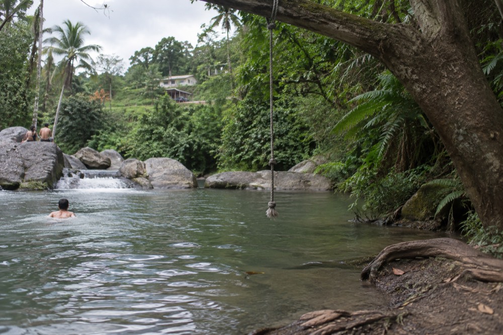 A rope swing rope hanging from a tree over a jungle river pool