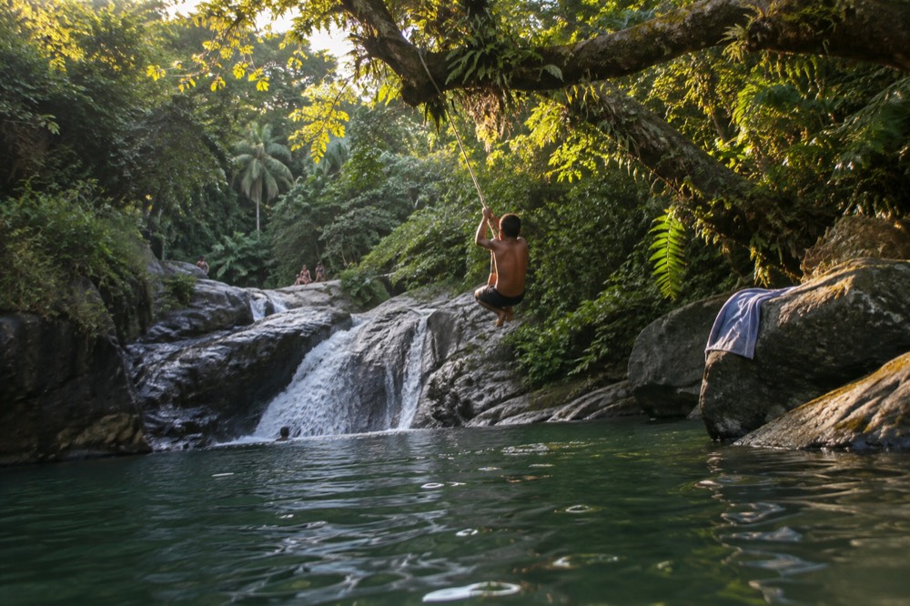 A rope swing hanging over a deep green jungle pool from a tree branch