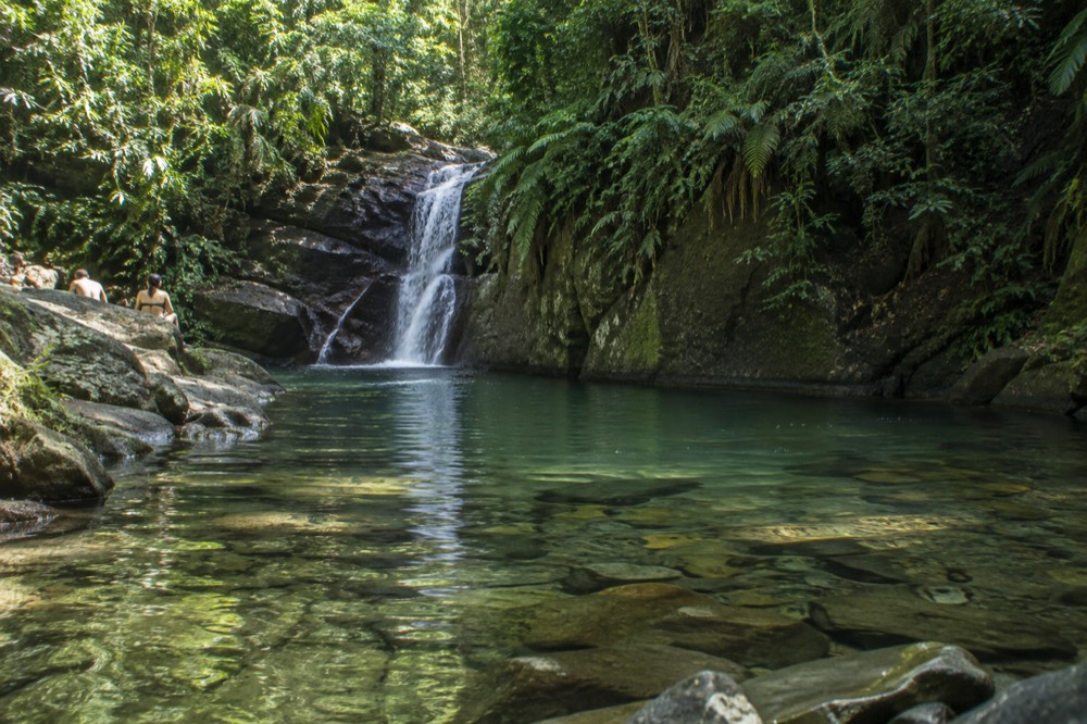 A calm green river pool reflecting dense jungle vegetation on a bright day