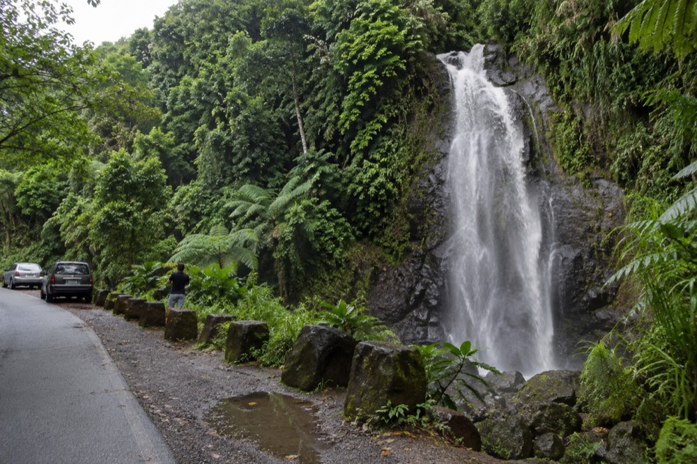 A clear natural pool in a rainforest river with smooth rocks along the bank