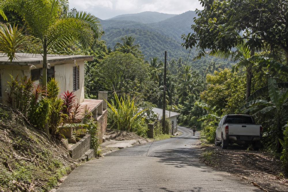 A narrow winding road climbs through dense tropical greenery with mountains in the background