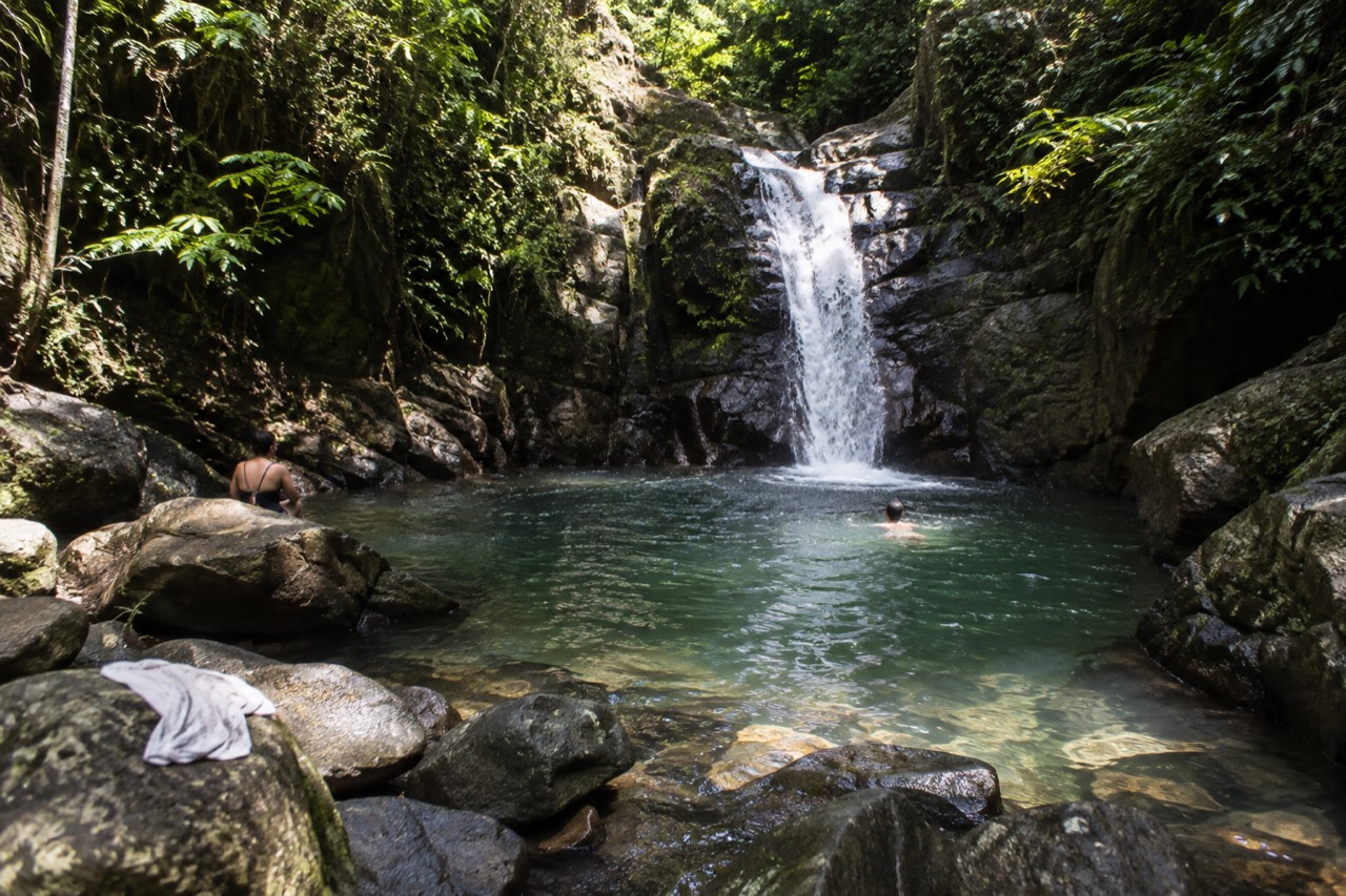 A clear forest river pool framed by large rocks and dense green rainforest