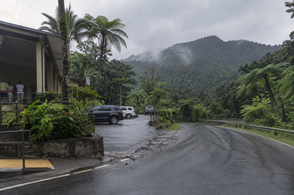 A mountain road curving through dense tropical vegetation under an overcast sky