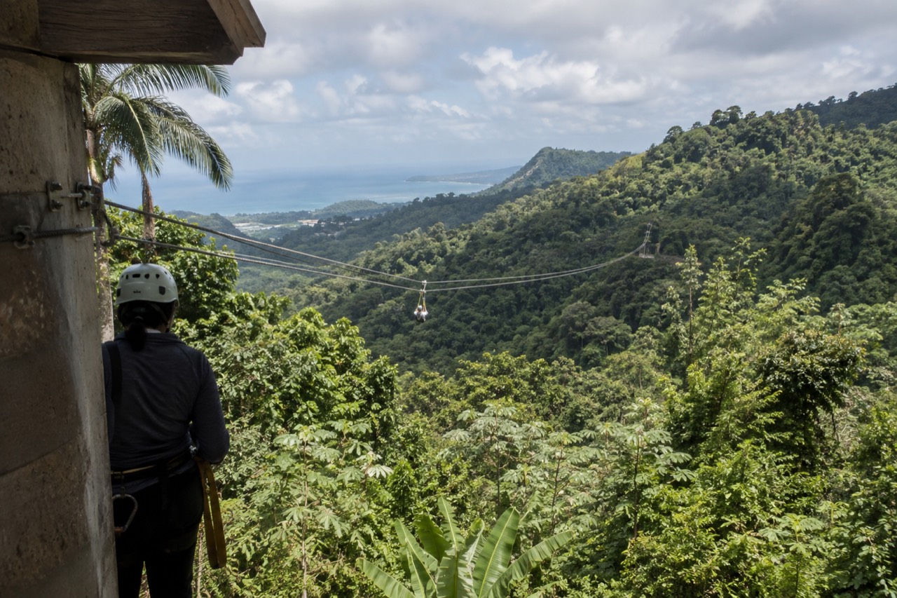 Dense green rainforest canopy with steel zipline cables strung between trees on a mountainside
