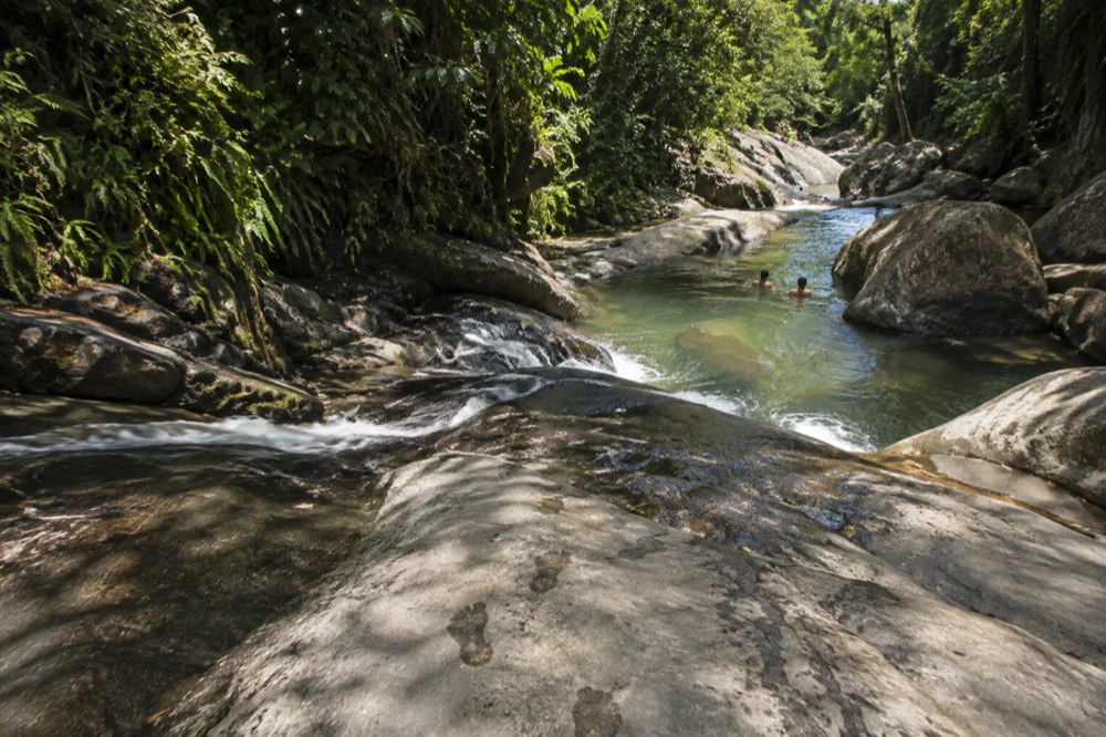 A shallow rainforest river flowing over smooth wet rocks
