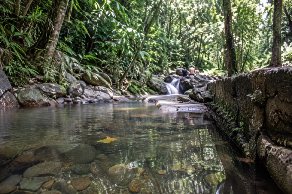 A shallow river pool reflecting green forest canopy