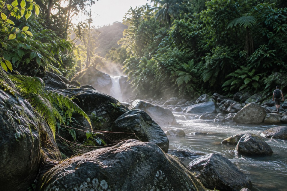Low morning mist rising off a rainforest river with ferns and smooth boulders along the bank