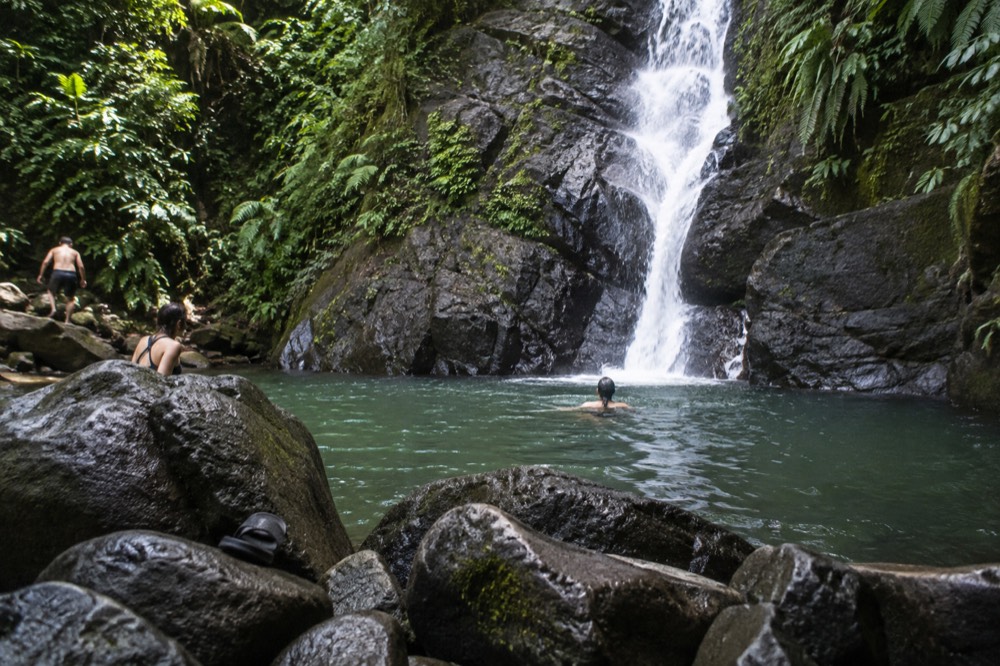 Waterfall cascading over dark rocks into a small pool surrounded by greenery