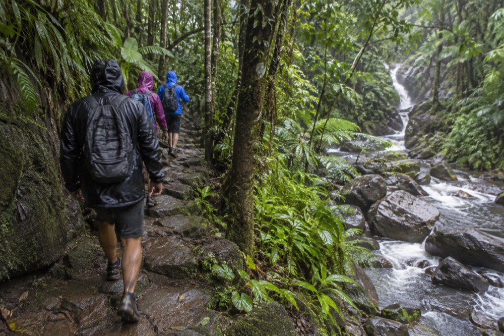 Small group of hikers on a wet stone trail beside a rushing forest stream