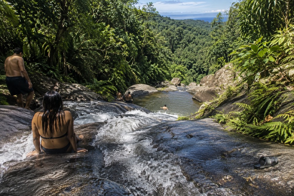 A rainforest waterfall dropping over dark rock into a small pool fringed with green plants