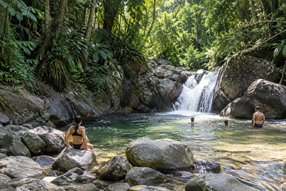 A shallow river pool at the base of a small cascade surrounded by smooth rocks and dense trees