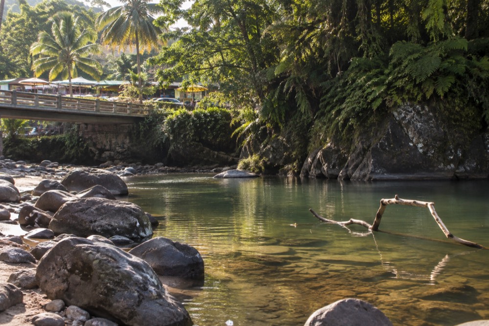 A calm river pool in the rainforest with smooth rocks along the bank