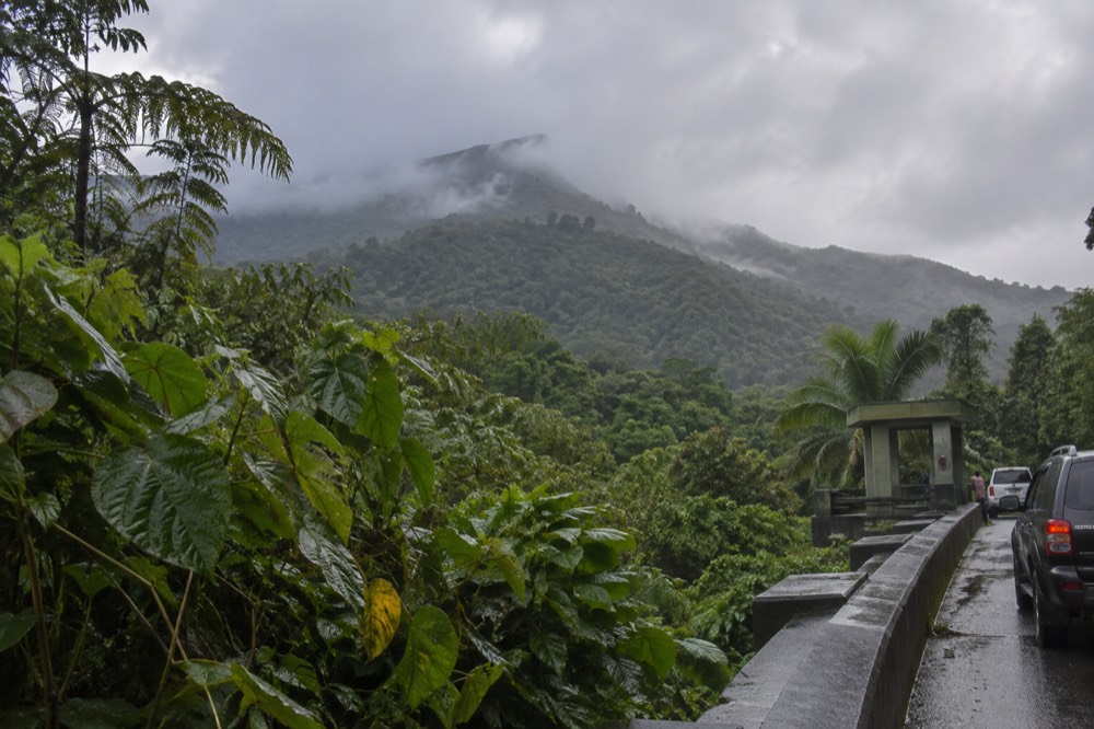 Rainforest peaks wrapped in low clouds with green vegetation on every ridge