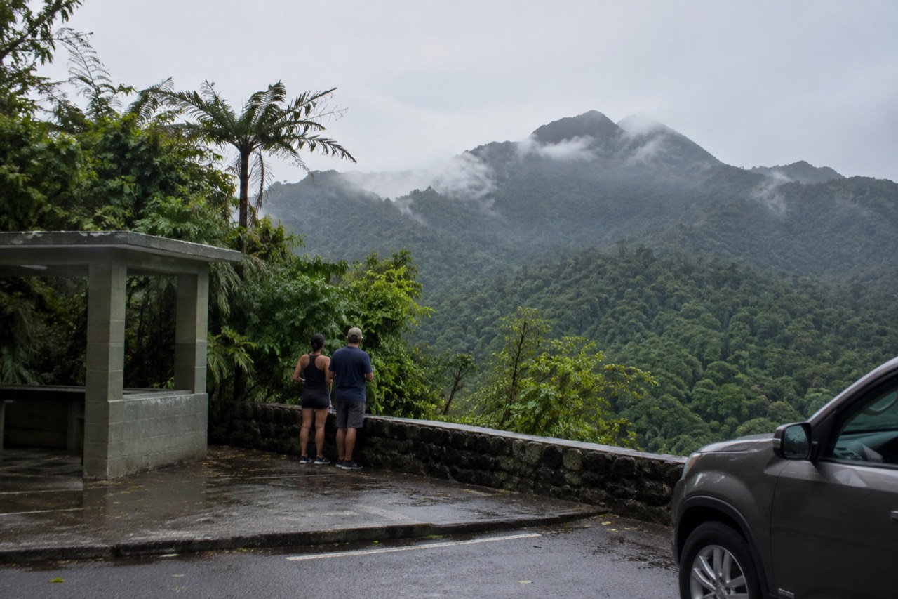 Dense green rainforest canopy with mist drifting between the peaks of the Luquillo Mountains
