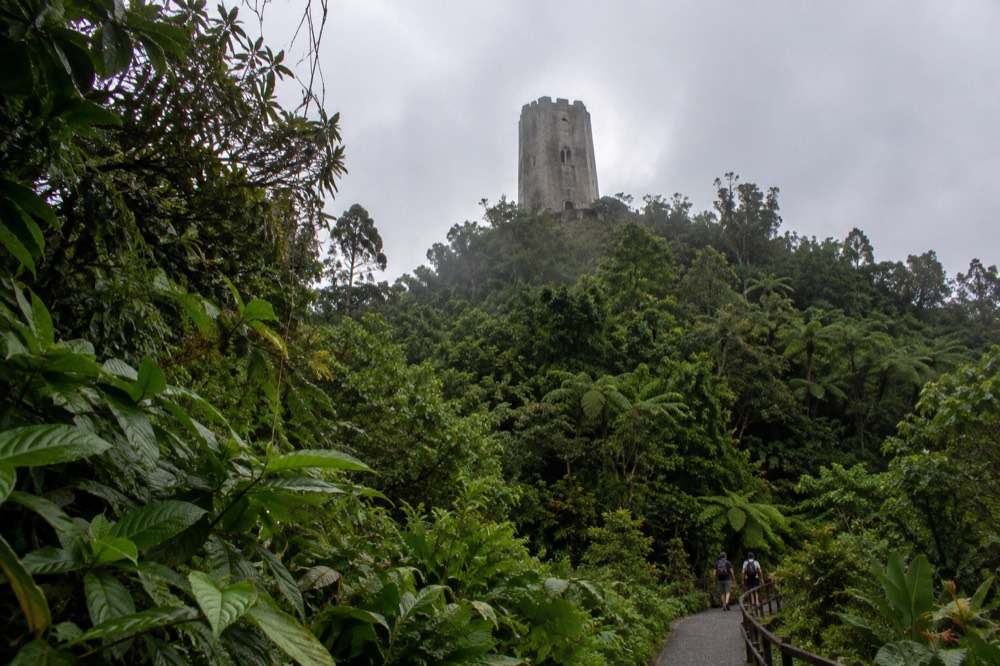 A stone observation tower rising above dense green rainforest canopy on a mountain slope