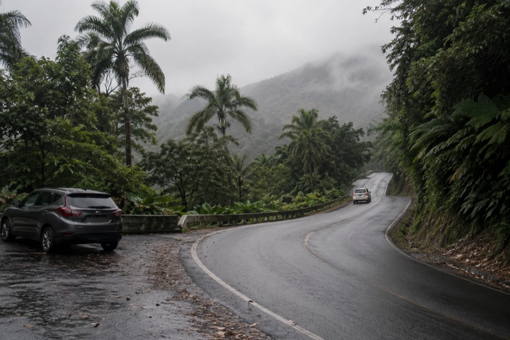 A rainforest road curving uphill past dense green vegetation and low clouds