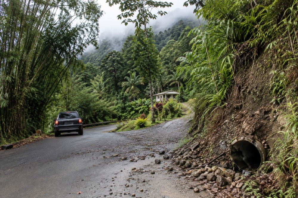 A winding mountain road climbing through tall green rainforest with low clouds