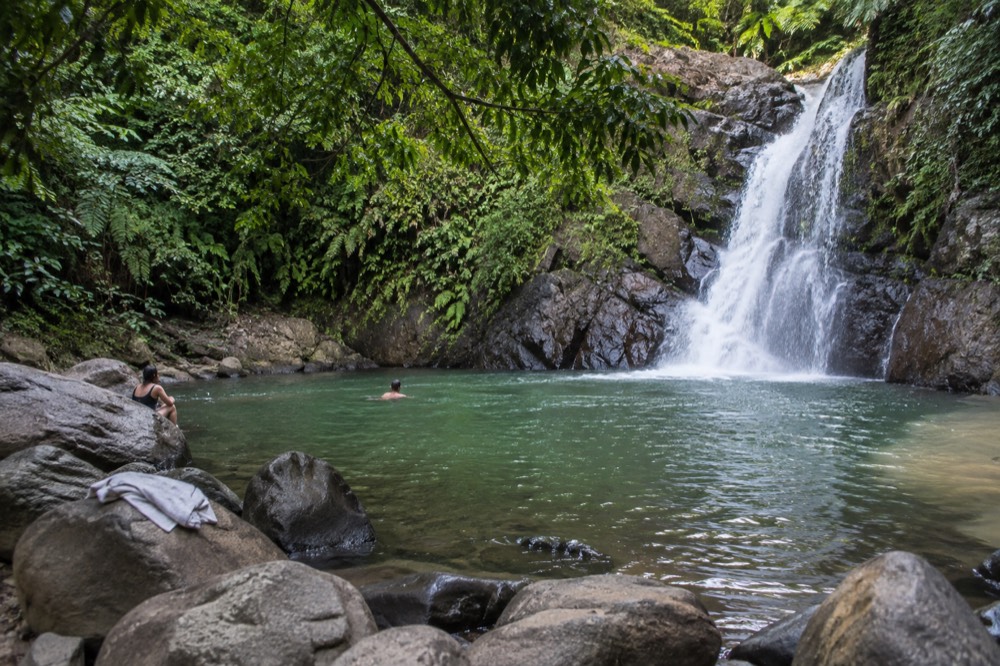A rainforest river pool beneath overhanging green trees with rocks along the bank