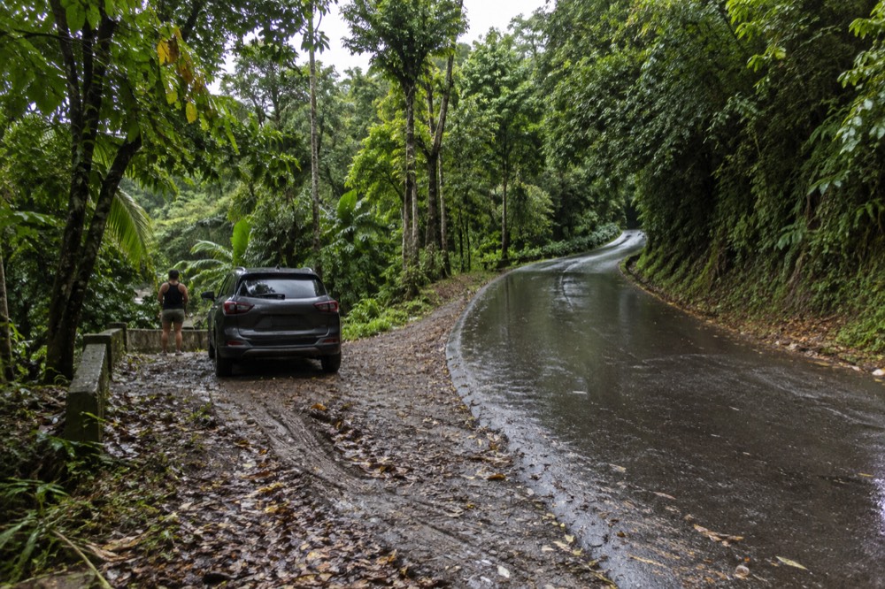 A rainforest road curving uphill through dense green vegetation