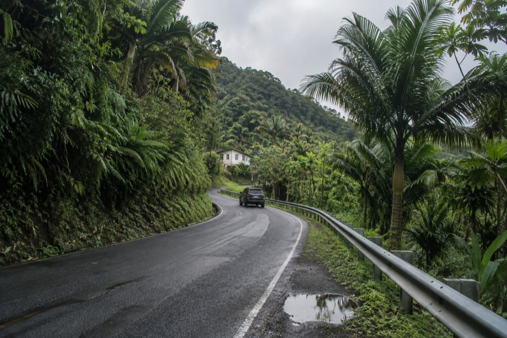 A winding mountain road climbing through dense green rainforest vegetation