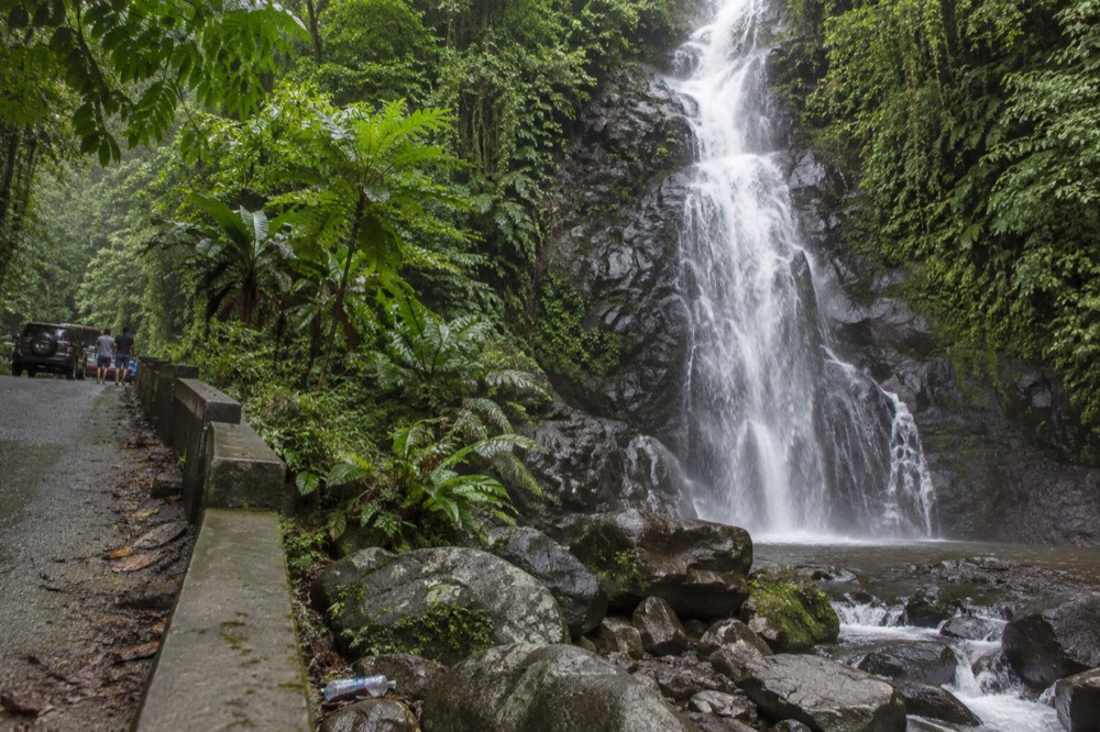 A waterfall dropping over a dark rock face surrounded by dense tropical vegetation