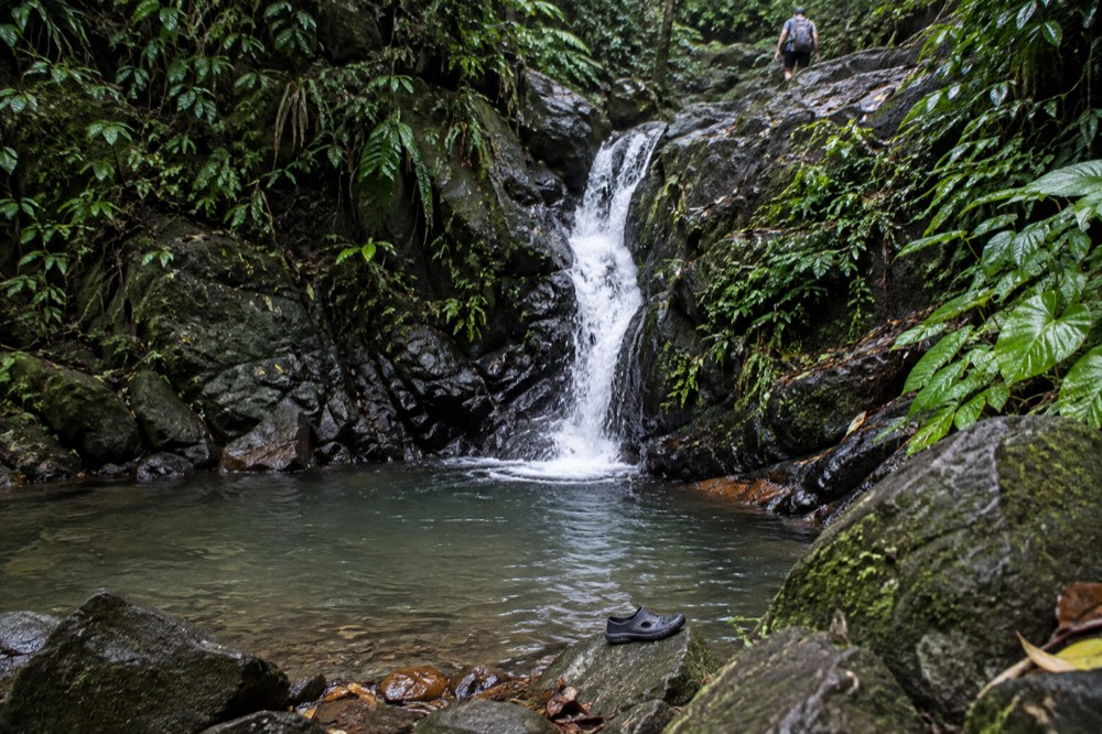 A narrow cascade falling between mossy rocks into a shallow pool