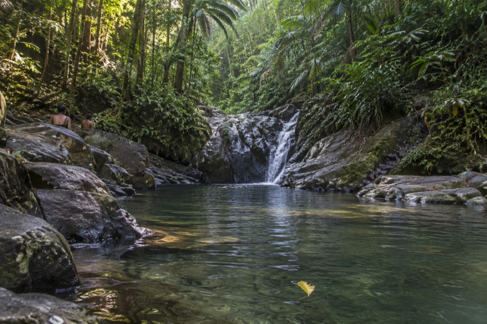A calm forest pool reflecting green trees with a small cascade at the far end