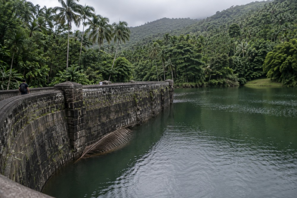 A stone masonry dam and pool surrounded by tall palm trees in mountain forest