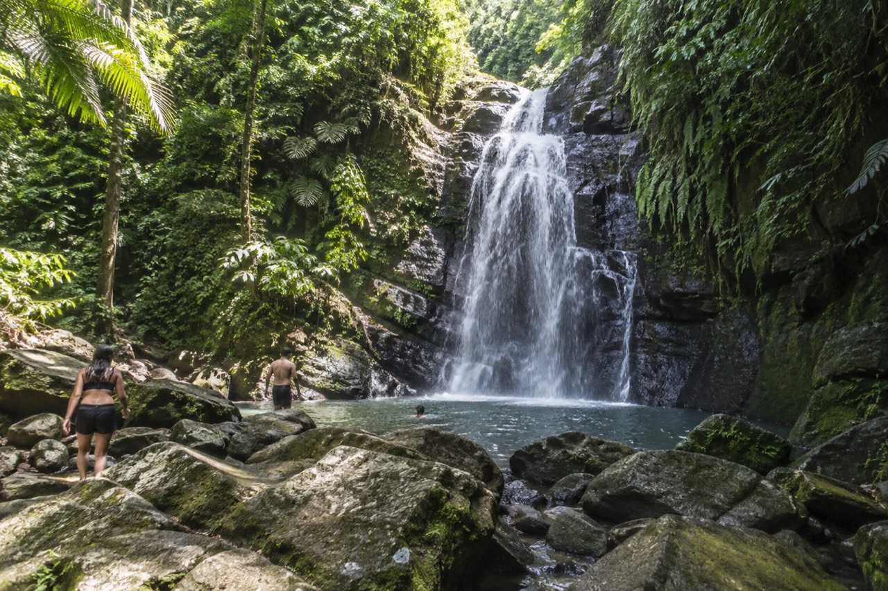 A tall waterfall spilling over a dark rock face surrounded by dense green rainforest