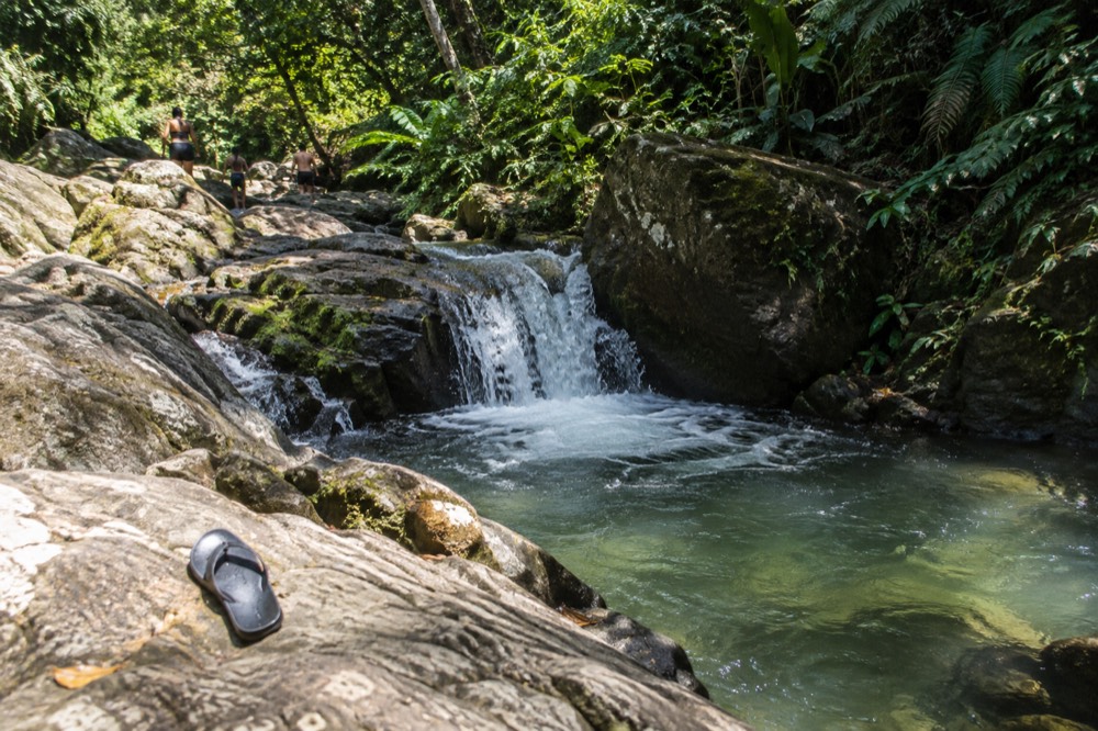 Small waterfall pouring into a clear forest pool surrounded by rocks and greenery