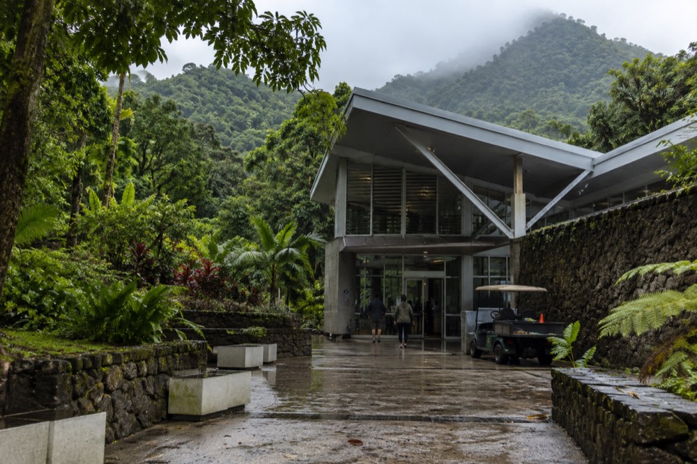 Modern rainforest visitor center building surrounded by dense green forest