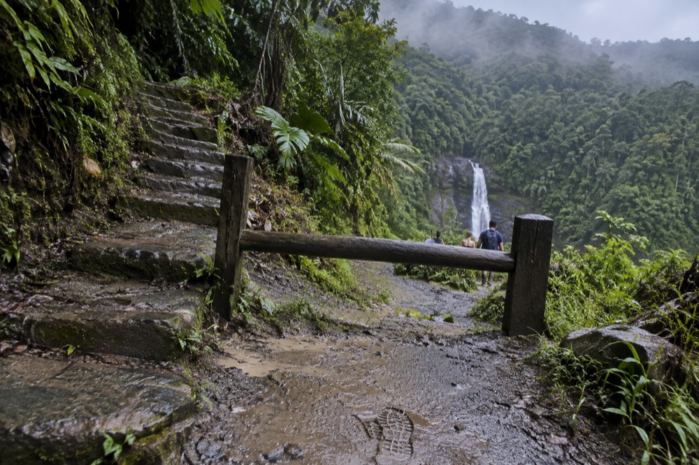 Trail closed sign on a rainforest path with mist over green mountains