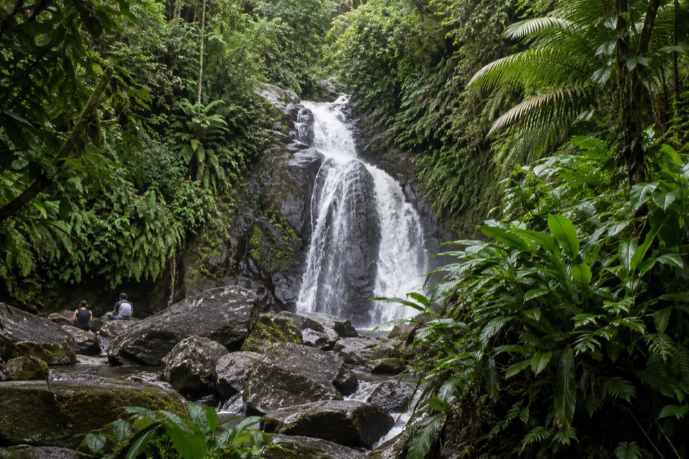 A waterfall cascading over dark rock ledges surrounded by dense tropical foliage