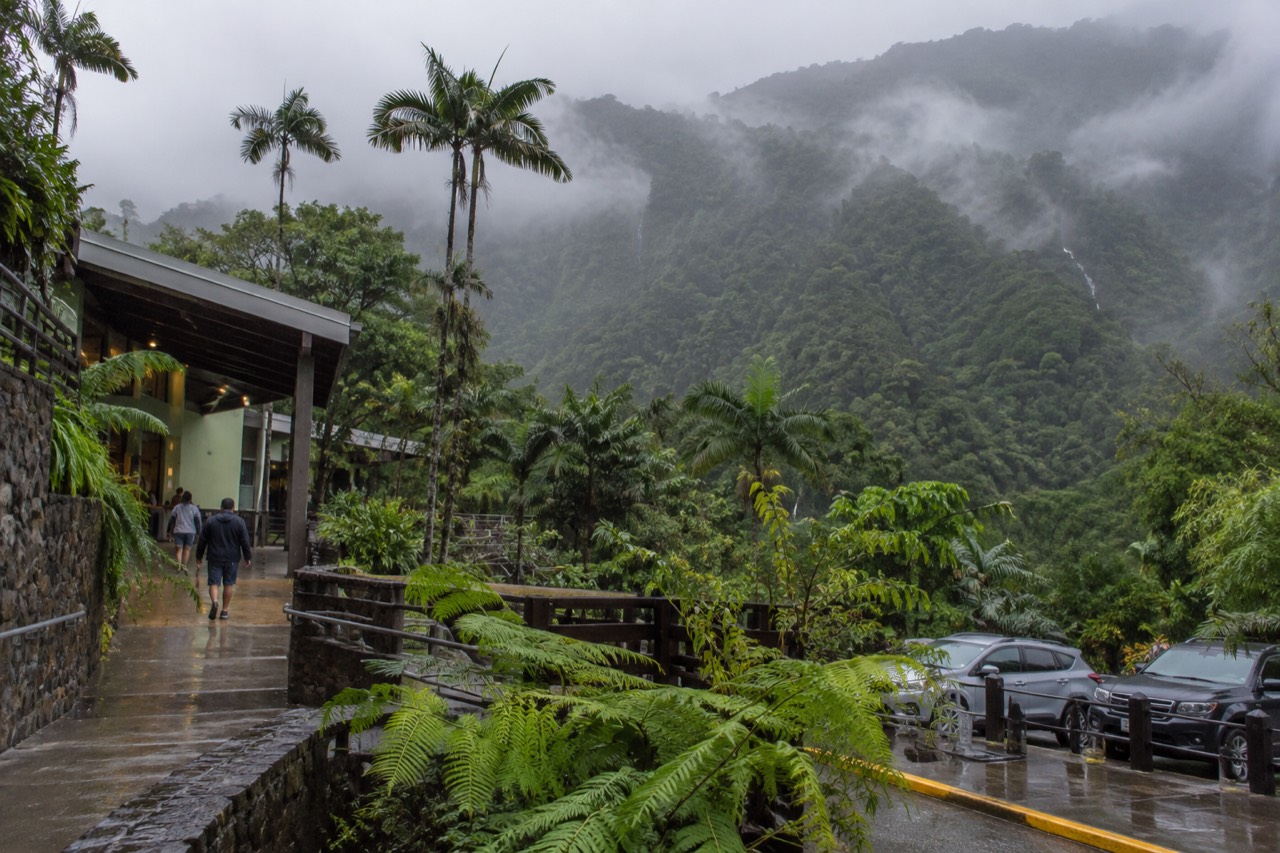 Dense green rainforest covered in clouds on steep mountain slopes