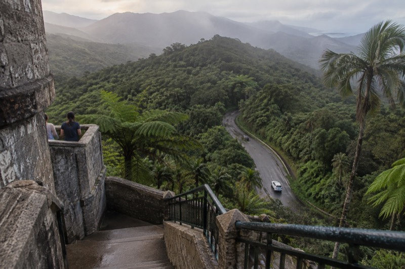 Forest corridor category card, showing the PR-191 forest road in El Yunque National Forest with roadside waterfalls and lookout towers, the route covered by the sightseeing tours compared on this site.