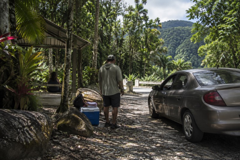 Self-drive category card, showing a guide meeting self-driving visitors at a river trailhead near El Yunque National Forest, where six meet-the-guide tours start from $25 per person.