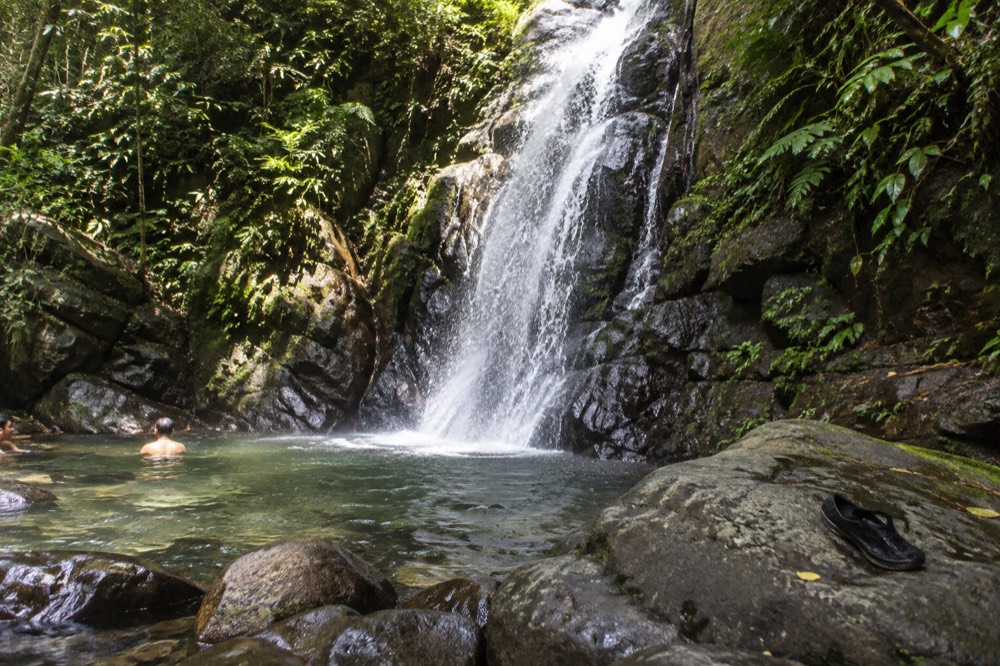 Waterfall dropping over dark rock into a shallow forest pool