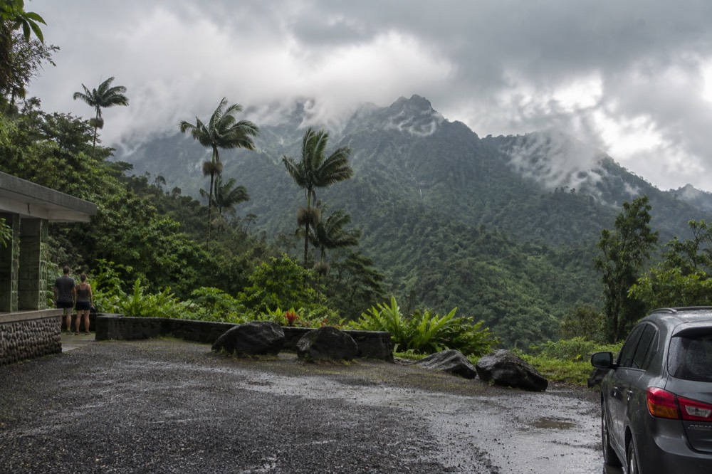 Clouds moving over steep rainforest slopes with dense palm cover
