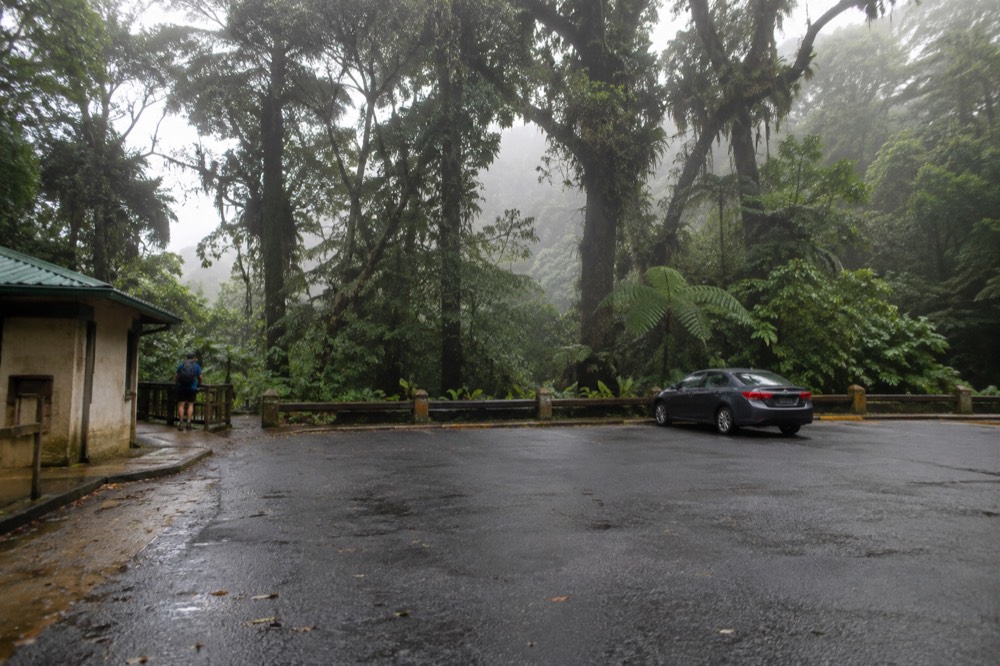 Empty forest parking area beside a paved road under tall trees