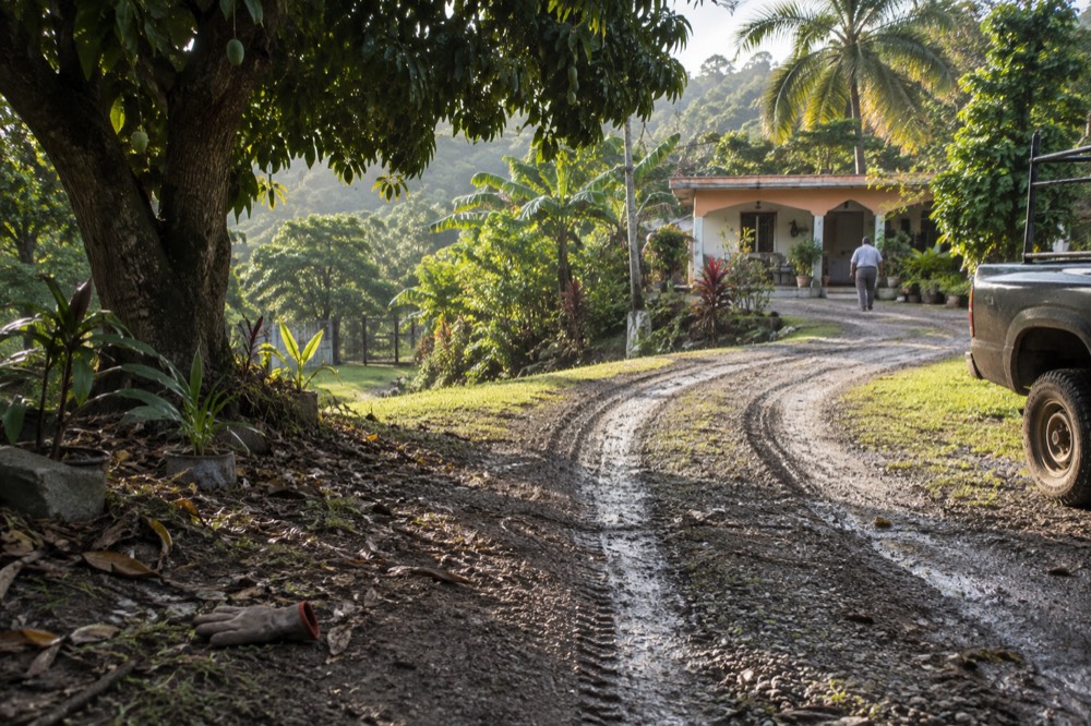Curved gravel trail through tropical greenery with muddy ATV tire tracks