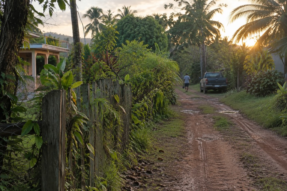 Wooden fence line beside a wide private trail with tire marks and tropical vegetation