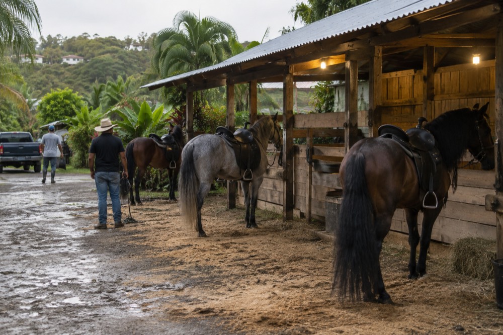 Riders waiting beside a wooden stable with saddled Paso horses