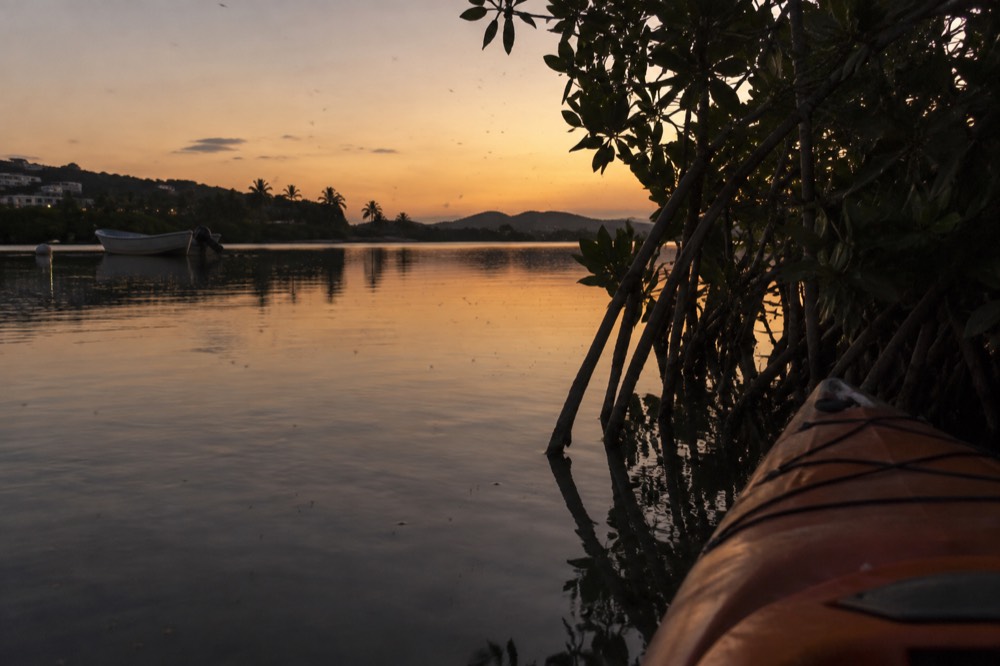 Calm dark lagoon water at dusk with mangrove shoreline silhouetted against a fading sky.